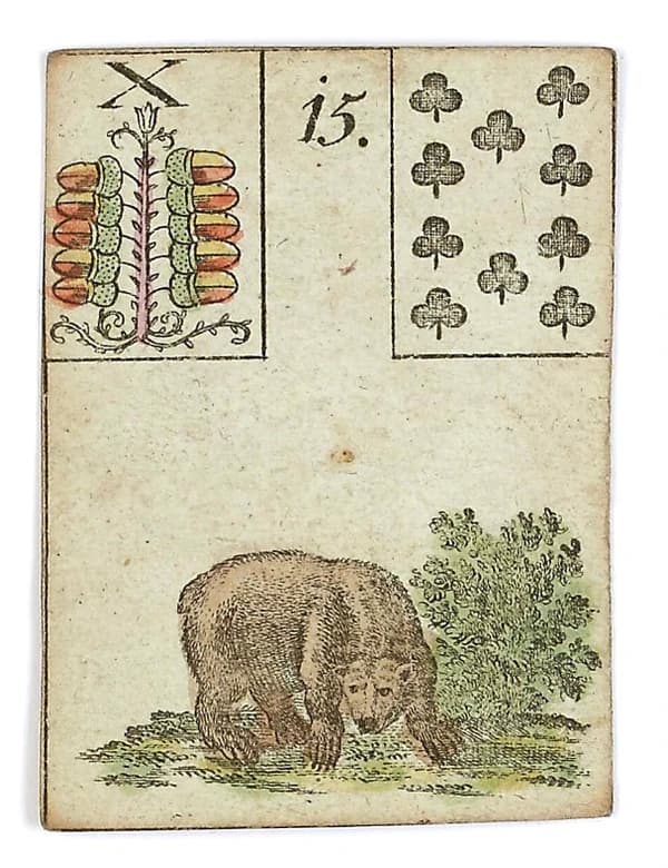 Urso