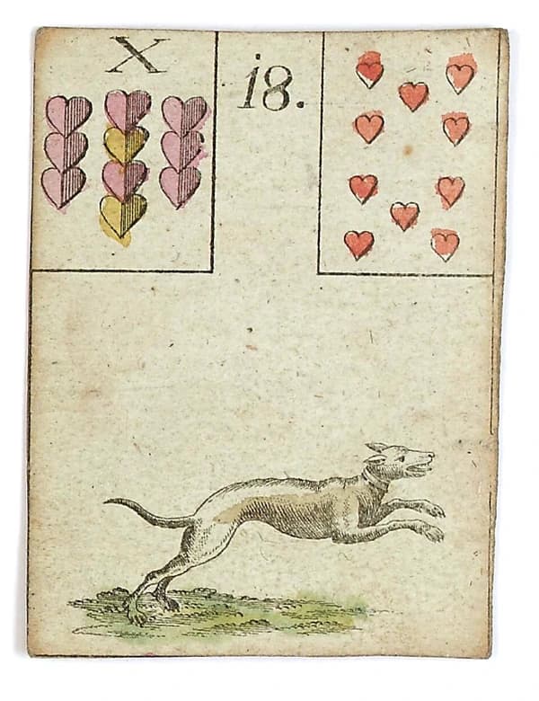 Cão